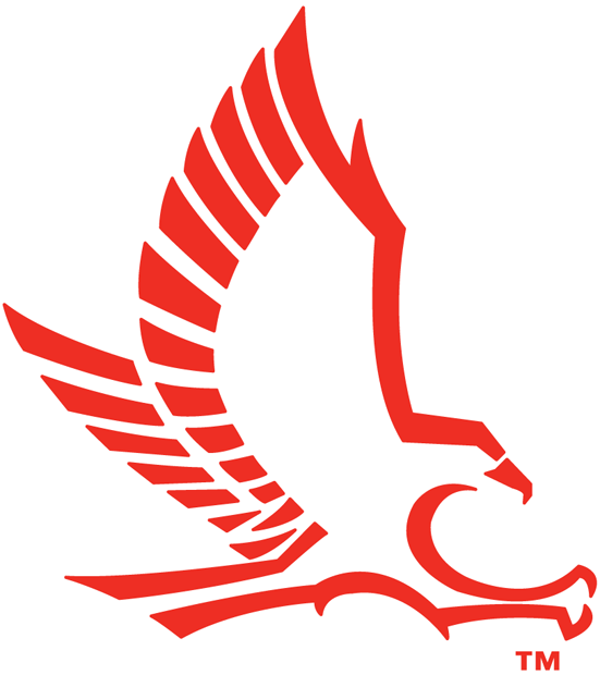 Hartford Hawks 1984-Pres Secondary Logo DIY iron on transfer (heat transfer)